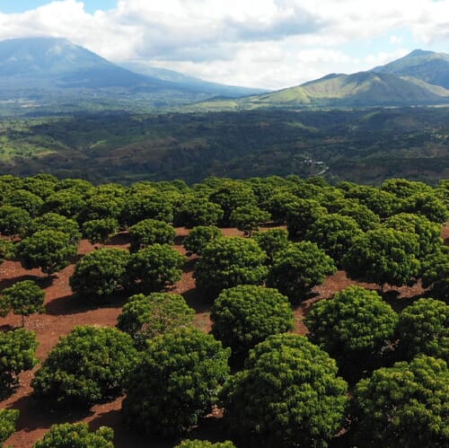 FOOTAGE.00_08_31_20.Still012crop