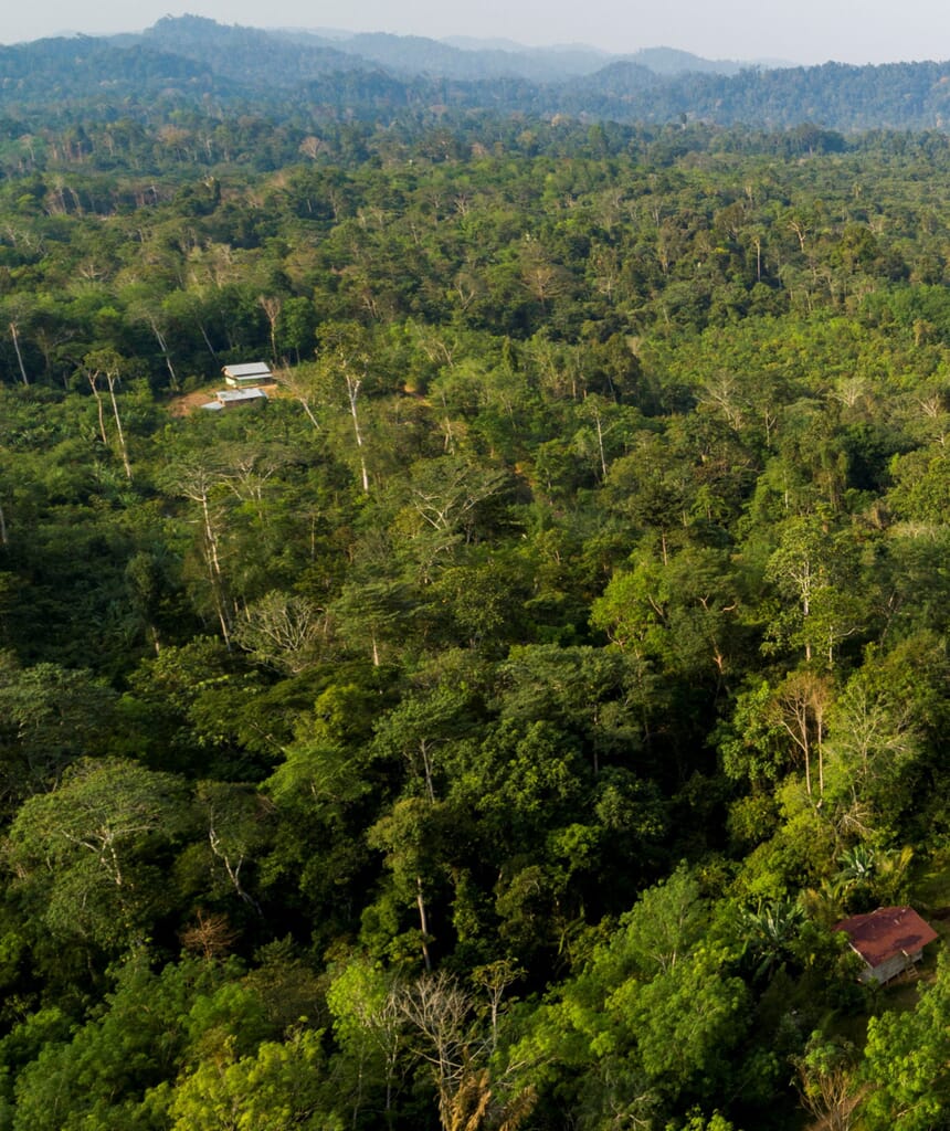 Deforestation-07-1-1-scaled.jpg?w=860&h=1024&scale Deforestation-07-1-1-scaled.jpg?w=860&h=1024&scale