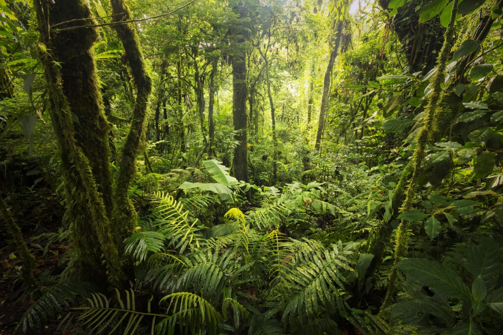 iStock-532812903-scaled.jpg?w=1024&h=683&scale iStock-532812903-scaled.jpg?w=1024&h=683&scale