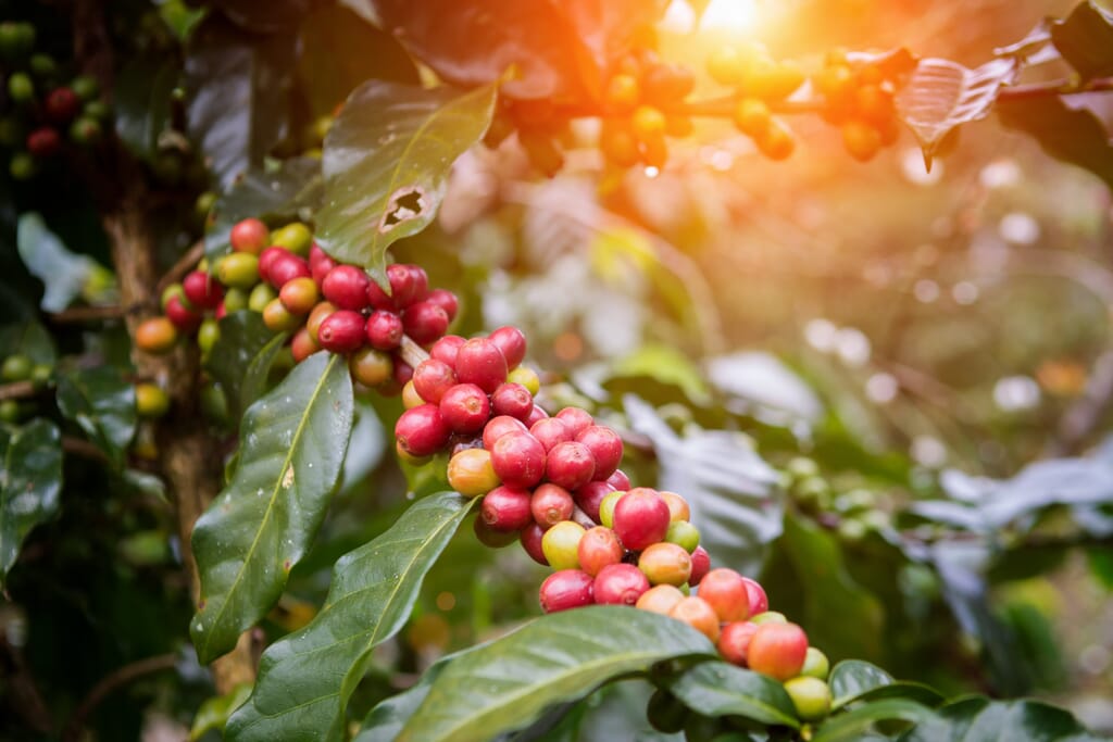 iStock-697478750-scaled.jpg?w=1024&h=683&scale iStock-697478750-scaled.jpg?w=1024&h=683&scale